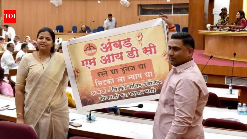 पाणी आणि रस्त्याच्या मुद्द्यावरून सर्वसाधारण सभेत गोंधळ