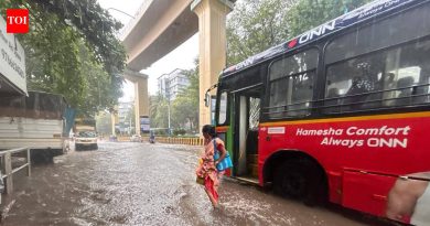 विलंबाने, पण मान्सूनपूर्व सरी रहिवाशांना दिलासा आणि आशा देतात