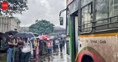 PMPML 685 बस निवारे विकसित करणार; युटिलिटीने २४ भूखंड मिळविण्यासाठी पीएमसीशी संपर्क साधला | पुणे बातम्या PMPML 685 बस निवारे विकसित करणार; युटिलिटीने २४ भूखंड मिळविण्यासाठी पीएमसीशी संपर्क साधला | पुणे बातम्या