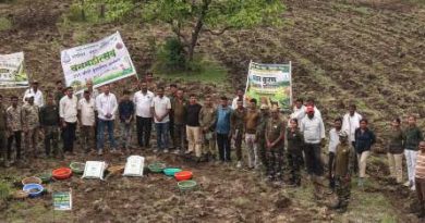 वन्यजीवांच्या संवर्धनासाठी १० हेक्टरवर गवत कुरण लागवड,    गिरड व्याघ्र सफारी प्रकल्पात श्रमदानातून उपक्रम